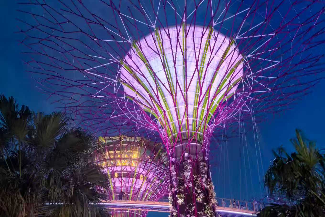 1772701297548799.jpg 20260305170001l0MSDT.jpg