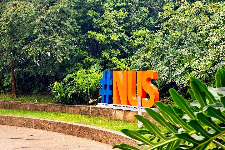 3月15日截止：NUS 2026青年奖学金项目开放申请