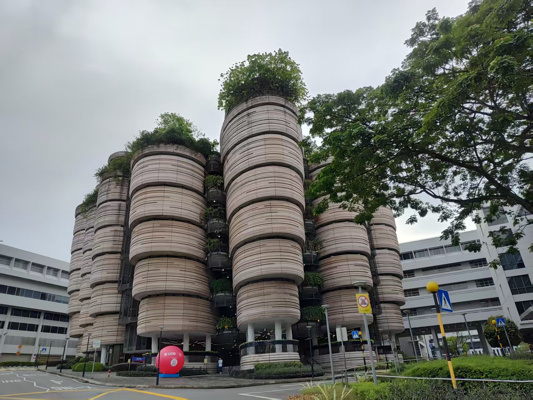 南洋理工大学2026 暑假官方项目，AI 实战 + 跨域菁英双选择，最早5月11日报名